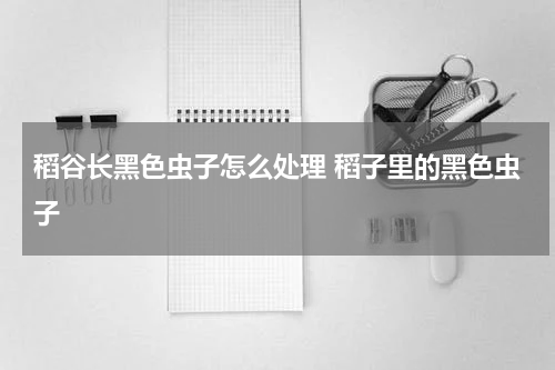 稻谷长黑色虫子怎么处理 稻子里的黑色虫子