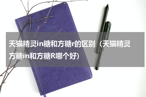 天猫精灵in糖和方糖r的区别（天猫精灵方糖in和方糖R哪个好）