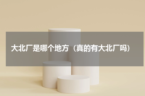 大北厂是哪个地方（真的有大北厂吗）