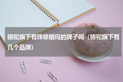 骆驼旗下有珠穆朗玛的牌子吗（骆驼旗下有几个品牌）