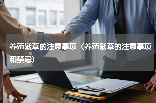 养殖紫草的注意事项（养殖紫草的注意事项和禁忌）