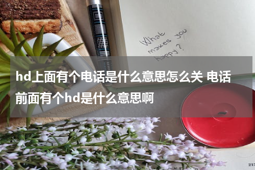 hd上面有个电话是什么意思怎么关 电话前面有个hd是什么意思啊