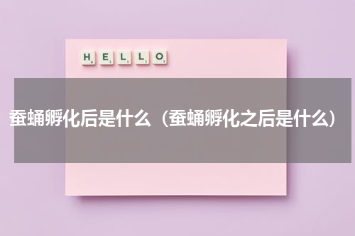 蚕蛹孵化后是什么（蚕蛹孵化之后是什么）