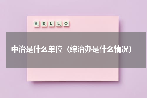 中治是什么单位（综治办是什么情况）