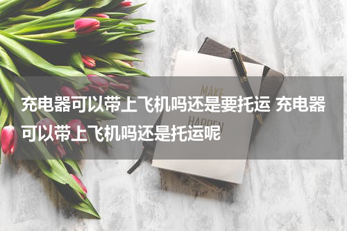 充电器可以带上飞机吗还是要托运 充电器可以带上飞机吗还是托运呢