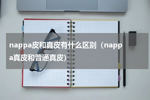 nappa皮和真皮有什么区别（nappa真皮和普通真皮）