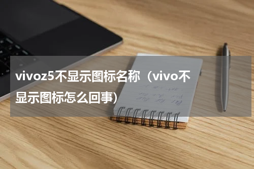 vivoz5不显示图标名称（vivo不显示图标怎么回事）