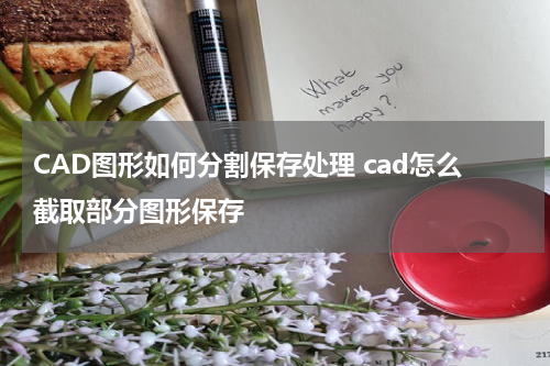 CAD图形如何分割保存处理 cad怎么截取部分图形保存
