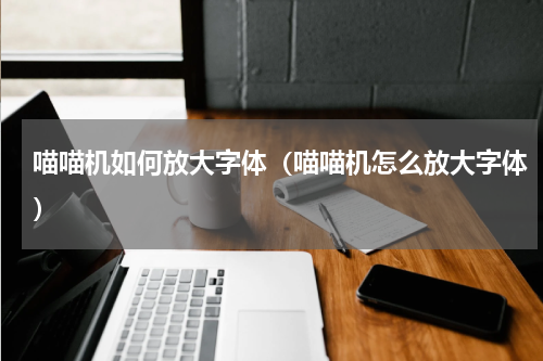 喵喵机如何放大字体（喵喵机怎么放大字体）