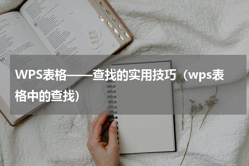 WPS表格——查找的实用技巧（wps表格中的查找）