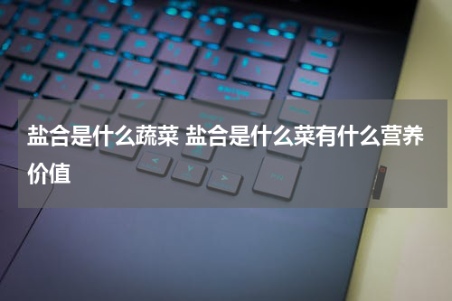 盐合是什么蔬菜 盐合是什么菜有什么营养价值