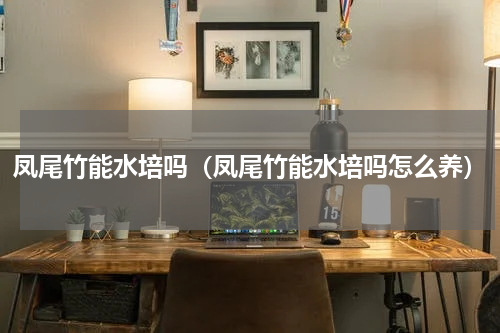 凤尾竹能水培吗（凤尾竹能水培吗怎么养）