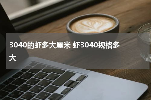 3040的虾多大厘米 虾3040规格多大