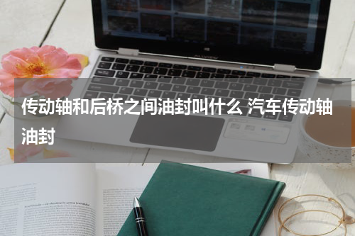 传动轴和后桥之间油封叫什么 汽车传动轴油封