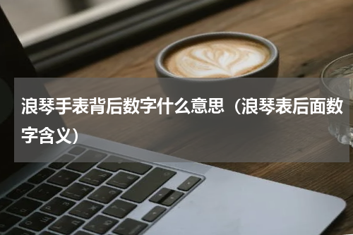 浪琴手表背后数字什么意思（浪琴表后面数字含义）