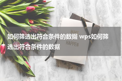 如何筛选出符合条件的数据 wps如何筛选出符合条件的数据