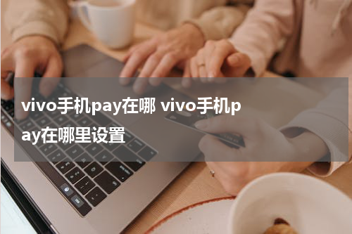 vivo手机pay在哪 vivo手机pay在哪里设置