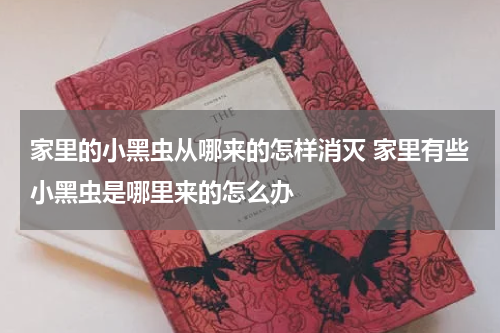 家里的小黑虫从哪来的怎样消灭 家里有些小黑虫是哪里来的怎么办