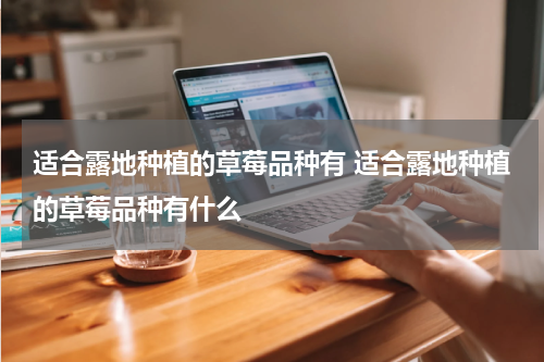 适合露地种植的草莓品种有 适合露地种植的草莓品种有什么