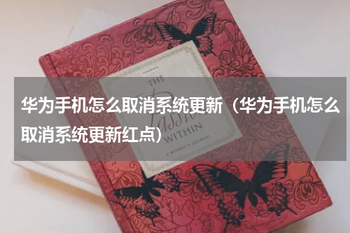 华为手机怎么取消系统更新（华为手机怎么取消系统更新红点）