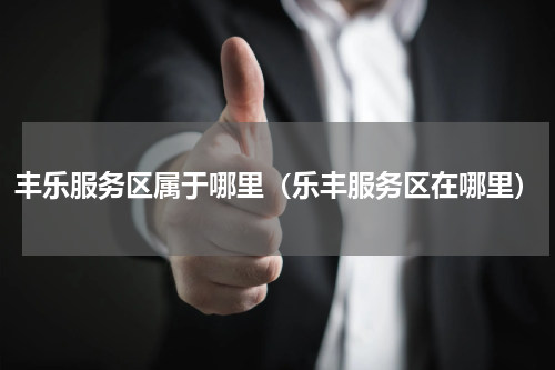 丰乐服务区属于哪里（乐丰服务区在哪里）