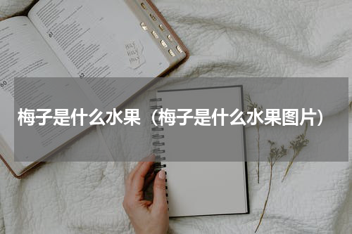 梅子是什么水果（梅子是什么水果图片）