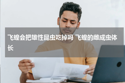 飞蝗会把雄性昆虫吃掉吗 飞蝗的雌成虫体长