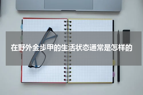 在野外金步甲的生活状态通常是怎样的