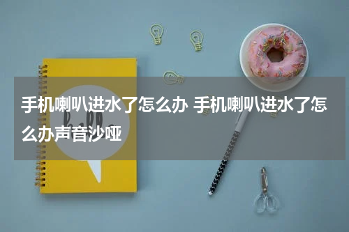 手机喇叭进水了怎么办 手机喇叭进水了怎么办声音沙哑
