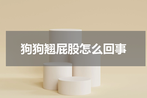 狗狗翘屁股怎么回事