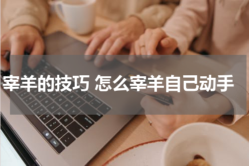 宰羊的技巧 怎么宰羊自己动手
