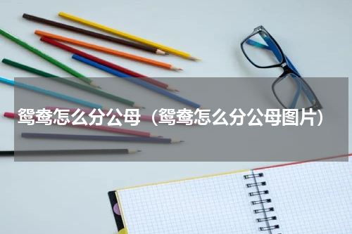 鸳鸯怎么分公母（鸳鸯怎么分公母图片）