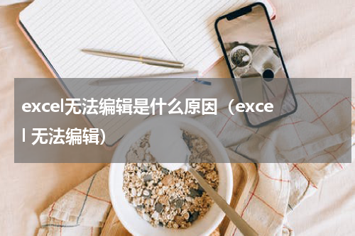 excel无法编辑是什么原因（excel 无法编辑）