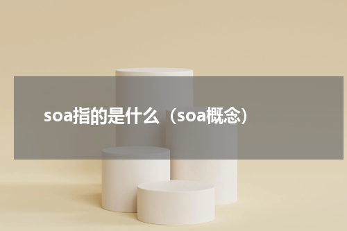 soa指的是什么（soa概念）