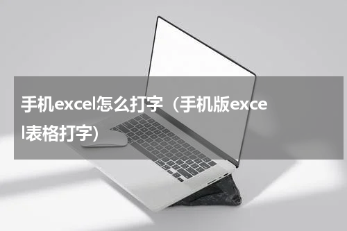 手机excel怎么打字（手机版excel表格打字）