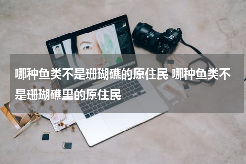 哪种鱼类不是珊瑚礁的原住民 哪种鱼类不是珊瑚礁里的原住民