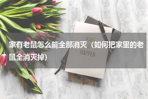 家有老鼠怎么能全部消灭（如何把家里的老鼠全消灭掉）