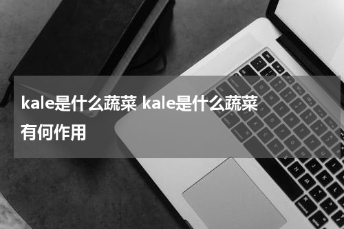 kale是什么蔬菜 kale是什么蔬菜有何作用