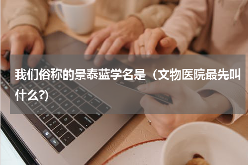 我们俗称的景泰蓝学名是（文物医院最先叫什么?）