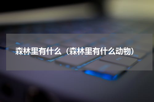 森林里有什么（森林里有什么动物）