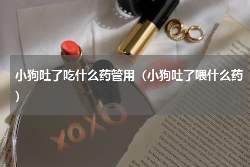 小狗吐了吃什么药管用（小狗吐了喂什么药）