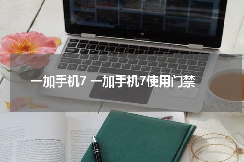 一加手机7 一加手机7使用门禁