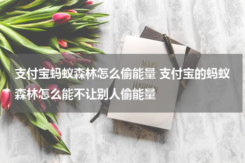 支付宝蚂蚁森林怎么偷能量 支付宝的蚂蚁森林怎么能不让别人偷能量