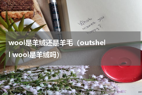 wool是羊绒还是羊毛（outshell wool是羊绒吗）