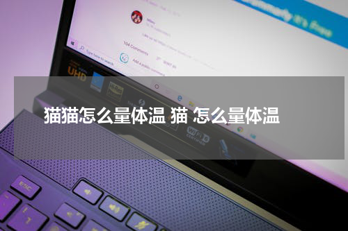 猫猫怎么量体温 猫 怎么量体温