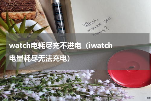 watch电耗尽充不进电（iwatch电量耗尽无法充电）