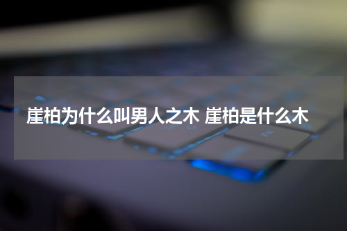 崖柏为什么叫男人之木 崖柏是什么木