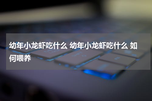 幼年小龙虾吃什么 幼年小龙虾吃什么 如何喂养