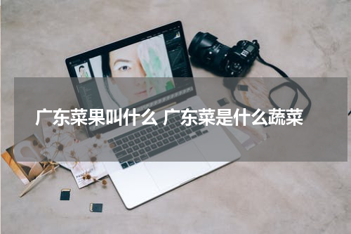 广东菜果叫什么 广东菜是什么蔬菜