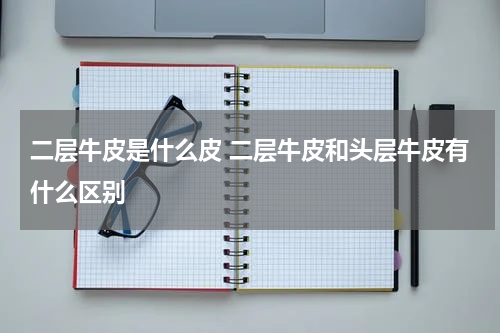 二层牛皮是什么皮 二层牛皮和头层牛皮有什么区别